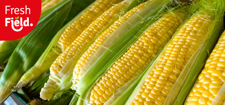 Sweet Corn